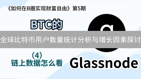 全球比特币用户数量统计分析与增长因素探讨