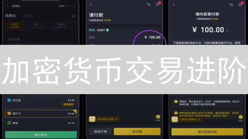 加密货币交易进阶：策略、风险与流动性分析