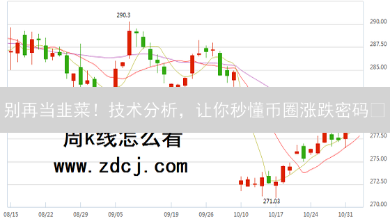 别再当韭菜！技术分析，让你秒懂币圈涨跌密码📈