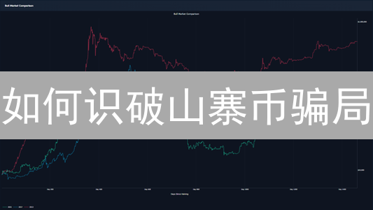 如何识破山寨币骗局？新手必看防坑指南！