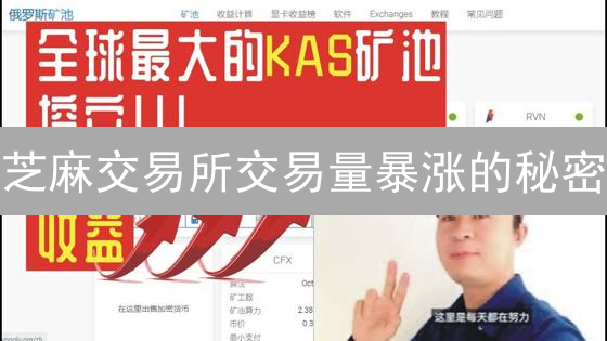 芝麻交易所交易量暴涨的秘密？2024年投资机会解读！