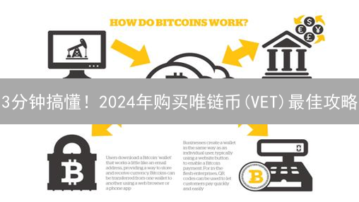 3分钟搞懂！2024年购买唯链币(VET)最佳攻略：交易所选择+安全指南