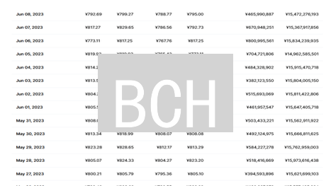 BCH：比特币现金能否重塑电子现金？解密投资新机！