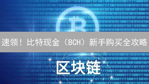 速领！比特现金（BCH）新手购买全攻略：六步掌握，稳健投资！