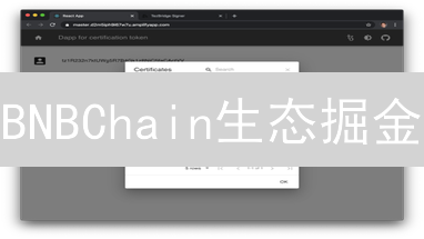 BNBChain生态掘金：新手也能学会的DApp开发速成指南！