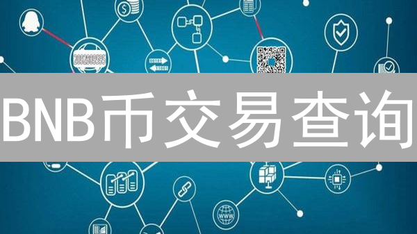 BNB币交易查询：区块链浏览器使用指南