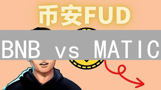 BNB vs MATIC：颠覆性加密货币，谁是你的下个财富密码？