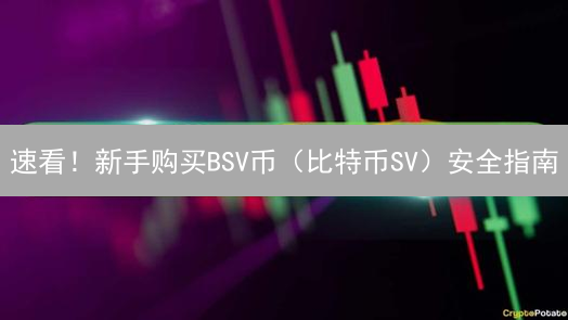 速看！新手购买BSV币（比特币SV）安全指南：避免踩坑，稳赚不赔！
