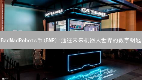 BadMadRobots币(BMR):通往未来机器人世界的数字钥匙