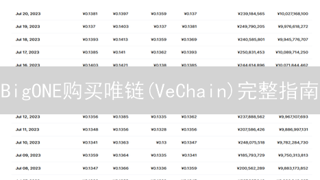BigONE购买唯链(VeChain)完整指南：新手入门
