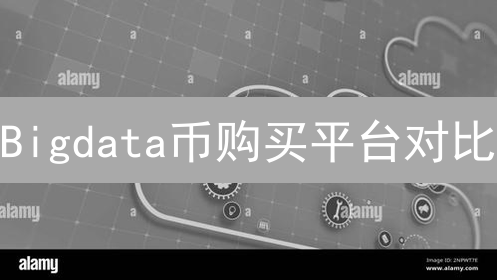 Bigdata币购买平台对比：哪里购买最划算？