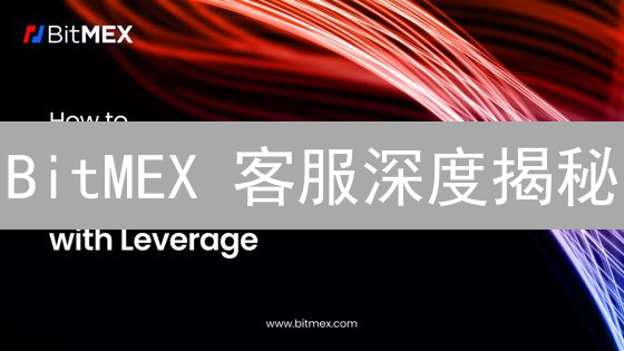BitMEX 客服深度揭秘：24/7 在线支持？实况测评与应对策略！