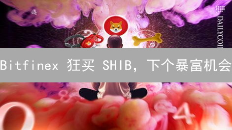 Bitfinex 狂买 SHIB，下个暴富机会？三大影响速览！
