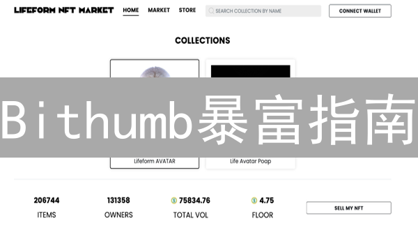 Bithumb暴富指南：新手也能学会的加密货币投资策略！
