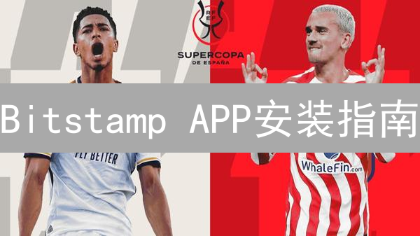 Bitstamp APP安装指南：新手也能轻松上手？