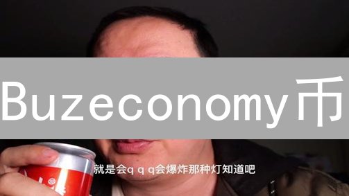 Buzeconomy币：颠覆数字经济的潜力之星？风险与机遇并存！