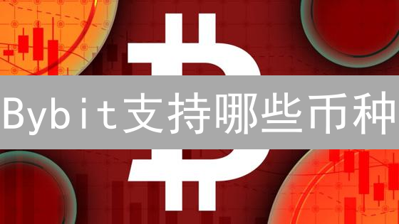 Bybit支持哪些币种？交易指南&新手必看【2024最新】