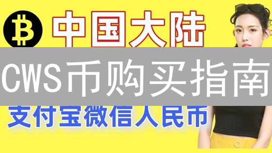 CWS币购买指南：中心化与去中心化交易所选择
