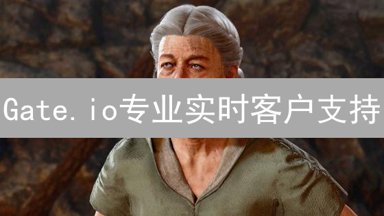 Gate.io专业实时客户支持：多渠道沟通，满足用户需求