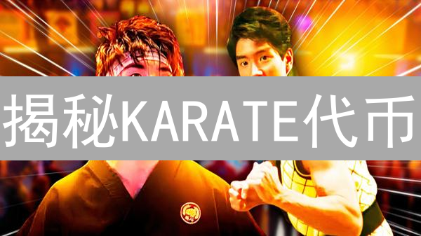 揭秘KARATE代币：新手购买指南与风险避坑策略！