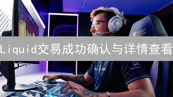 Liquid交易成功确认与详情查看：全面指南