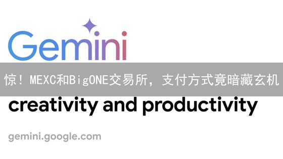 惊！MEXC和BigONE交易所，支付方式竟暗藏玄机？