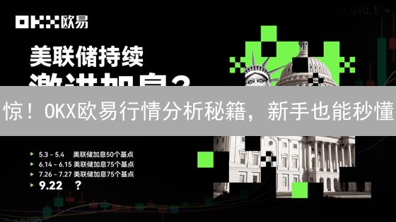 惊！OKX欧易行情分析秘籍，新手也能秒懂？