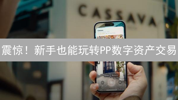 震惊！新手也能玩转PP数字资产交易？只需这几招！