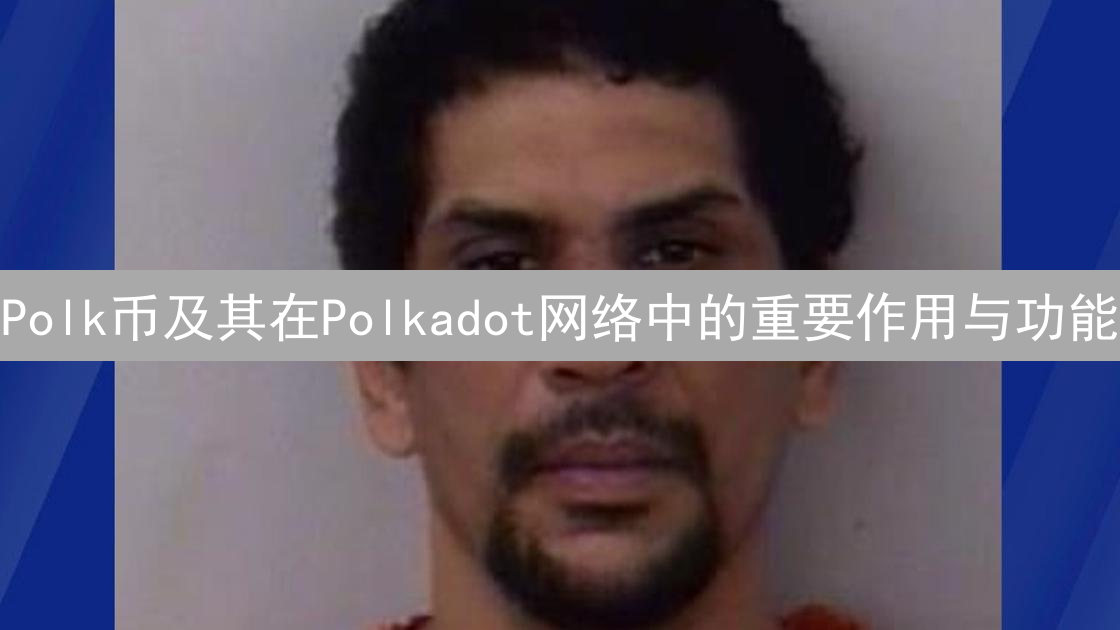 Polk币及其在Polkadot网络中的重要作用与功能