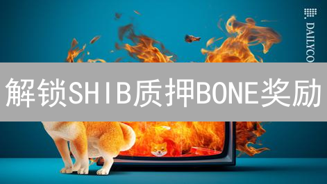 解锁SHIB质押BONE奖励：小白也能DeFi躺赚？🔥速看！