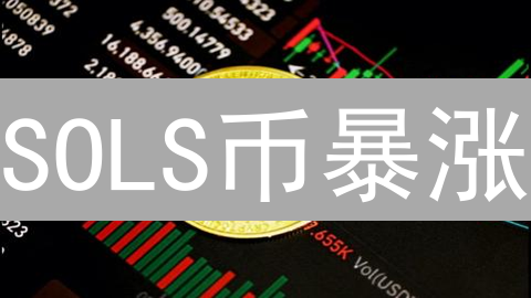SOLS币暴涨？深度解析：颠覆认知还是昙花一现？