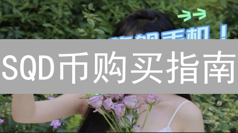 SQD币购买指南：交易所选择、交易策略与风险提示