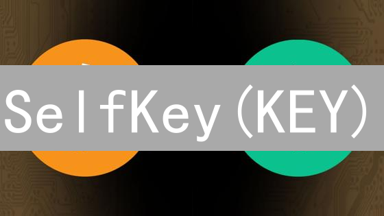 SelfKey(KEY)：如何颠覆传统身份认证？五大优势解析！