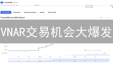 VNAR交易机会大爆发：主流币配对，抓住元宇宙财富！