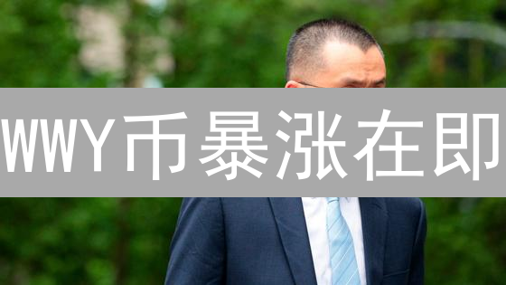 WWY币暴涨在即？新手必看购买指南！🔥