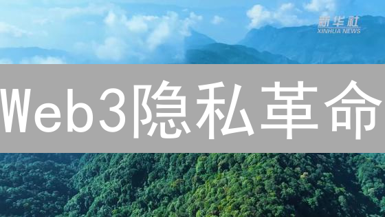 Web3隐私革命：AutomataNetwork赋能应用，你准备好了吗？