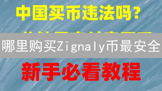 哪里购买Zignaly币最安全？平台选择与风险评估